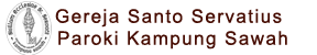 Servatius Logo